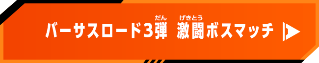 バーサスロード3弾 激闘ボスマッチ