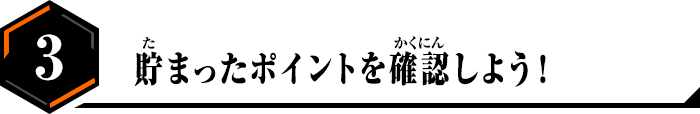 3.貯まったポイントを確認しよう！