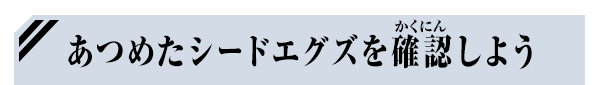 あつめたシードエグズを確認しよう