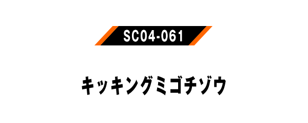 SC04-061