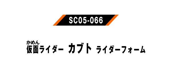 SC05-066