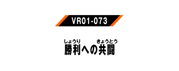 VR01-073