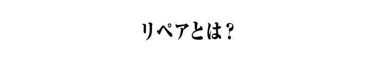 スピードバンカーとは？