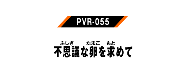 PVR-055 不思議な卵を求めて