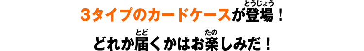 3タイプのカードケースが登場！どれか届くかはお楽しみだ！